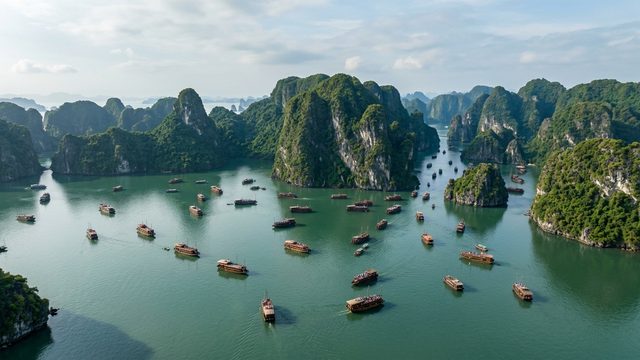 Video thư viện số cộng đồng — demo 008